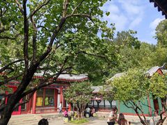 -宫事颐庭·老佛爷贵寿下午茶(颐和园店)