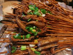 鳝鱼-晓靖轩烧烤(沙河风情店)
