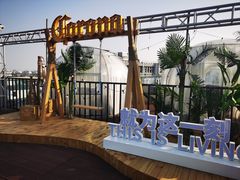 -顽啤熊·酒客酒馆(苏城夜景必选店)