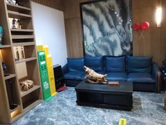-成都蓝城悦杏温泉美食酒店(宽窄巷子店)