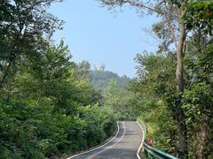 -南京老山国家森林公园