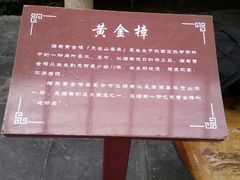 -兴芮温泉度假区