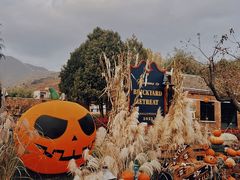 -瓦厂酒店