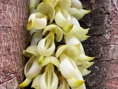 -叶挺将军纪念园