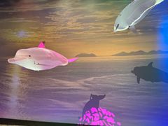 -广东科学中心科技影院