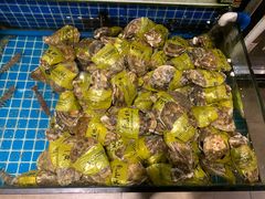 -金龙·打边炉(南京西路店)