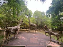 -东平国家森林公园
