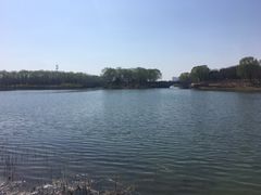 -大兴滨河森林公园