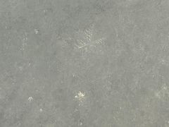 -丁香湖公园