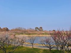 -上海海湾国家森林公园