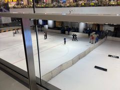 -TheRink大零溜冰场(IFS国金中心店)