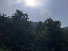 -广州市石门国家森林公园