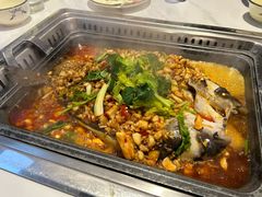 -黑猫馋纸包鱼(阳光店)