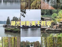 -东湖落雁景区
