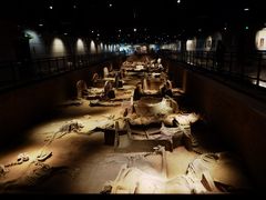 -洛阳周王城天子驾六博物馆