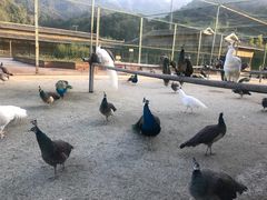 -韶关经律论国际酒店温泉