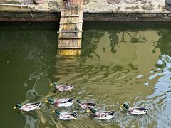 -珠海海泉湾度假区