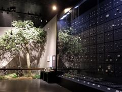 -北京周口店北京人遗址博物馆