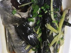 -福建美食城(老君堂店)