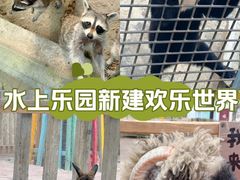 -水上乐园·欢乐世界