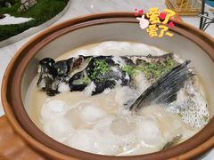 浓汤淳牌有机鱼头-隆聚·时令海鲜(洪兴店)