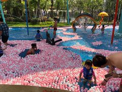 -美的鹭湖探索王国