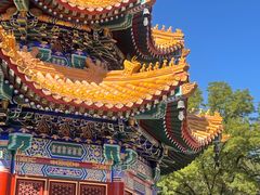 -香山公园