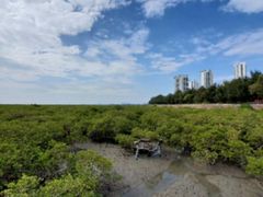 -北海金海湾红树林生态旅游区