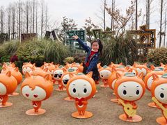 -上海长兴岛郊野公园