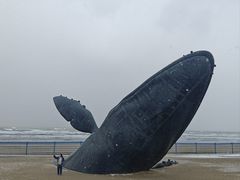 -烟台金沙滩海滨公园