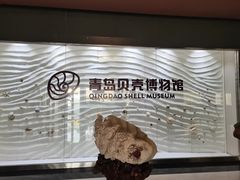 -青岛贝壳博物馆