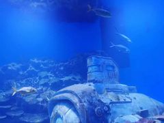 -海合安武汉极地海洋公园