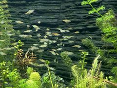 -上海海洋水族馆