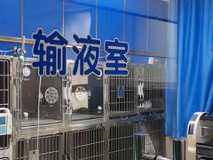 -申普宠物医院·眼科·心内科·影像科(普陀分院)