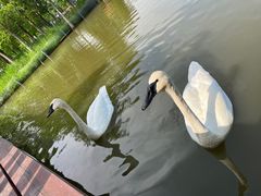 -宁波杭州湾国家湿地公园