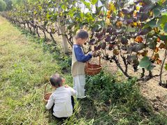 -圣露庄园·露营·烤肉·亲子