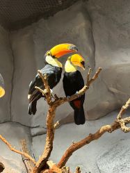 -Zoolung Zoolung动物主题公园(海信广场店)