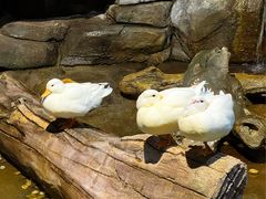 -苏州海洋馆