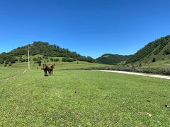 -关山草原