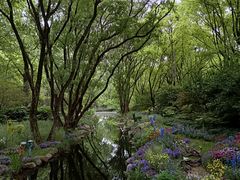 -上海共青森林公园