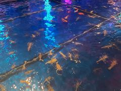 -钳真多钓虾馆·小龙虾海鲜烧烤(九六广场店)