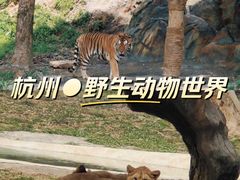 -杭州野生动物世界