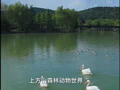 -苏州上方山国家森林公园