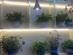 -望江门小龙虾·烧烤(九堡店)