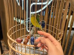 -淮扬府·游园京梦(北京SKP店)