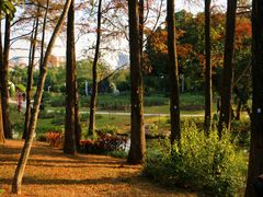 -人民公园(罗湖区)