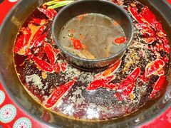 -矮板凳老火锅(宽窄巷子店)