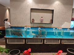 -汉水谣·江景餐厅(江滩店)