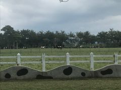 -瑞穗牧场