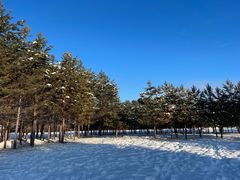 -北极村旅游风景区